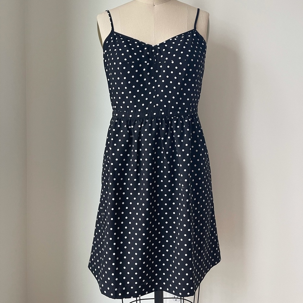 Polka Dot Dress